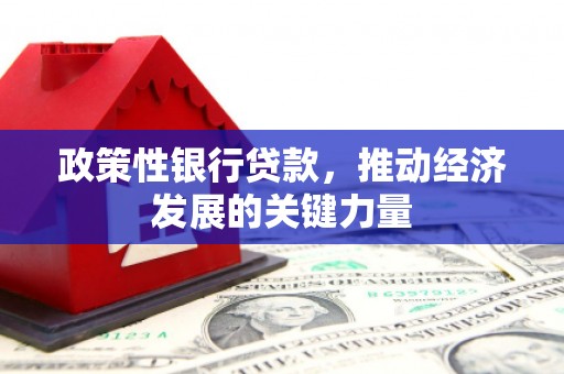 岭东政策性银行贷款，推动经济发展的关键力量