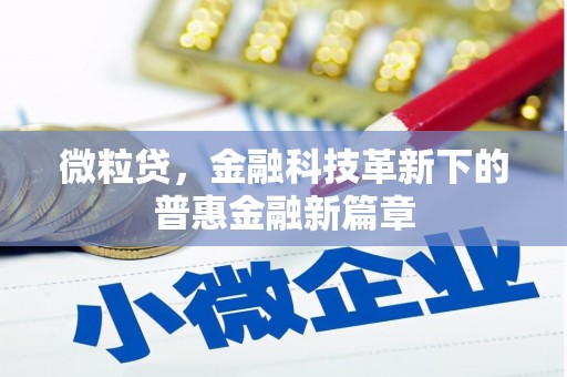 德格微粒贷，金融科技革新下的普惠金融新篇章