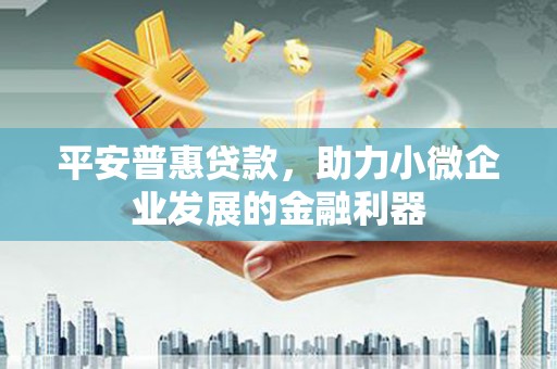 德格平安普惠贷款，助力小微企业发展的金融利器