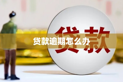 太子河贷款逾期怎么办