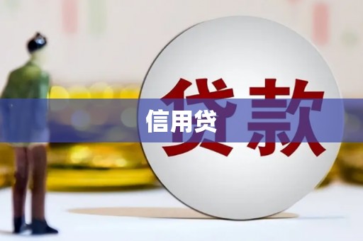 郫县信用贷