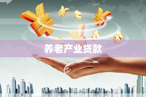 定兴养老产业贷款