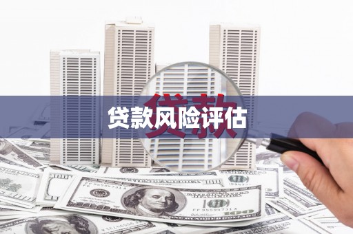 定兴贷款风险评估