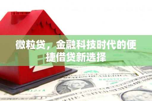 乃东微粒贷，金融科技时代的便捷借贷新选择