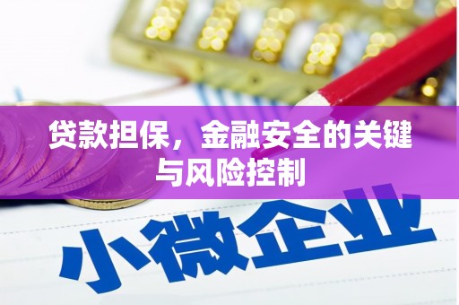 乃东贷款担保，金融安全的关键与风险控制