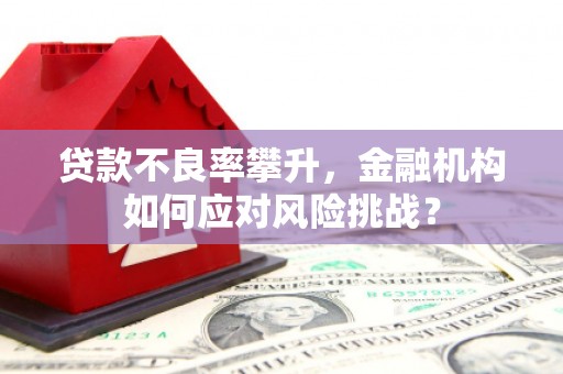 焦作贷款不良率攀升，金融机构如何应对风险挑战？