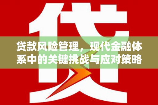 潮安贷款风险管理，现代金融体系中的关键挑战与应对策略