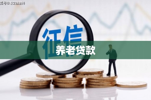 潮安养老贷款