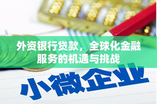 青冈外资银行贷款，全球化金融服务的机遇与挑战